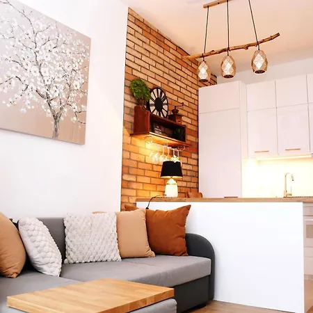 Apartment Przytulny Zakatek *