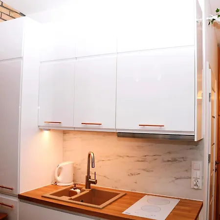 Przytulny Zakatek Apartment *